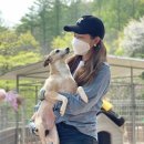 율푸드 Daum카페