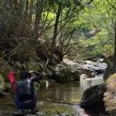 제암산등산로 | 보성 일림산 사자산 제암산 철쭉축제 등산코스 봄꽃축제 실시간