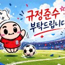 와 Referee View는 죽이네 이미지