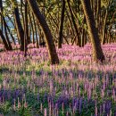 송림쉼터 이미지