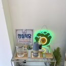 하프밀