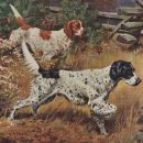 독(DOG)도 이미지