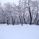 늘푸른공원4 이미지