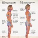 바른척척의원 이미지