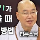 인생 위기가 찾아왔을 때 극복하는 방법│'법륜스님'편 이미지