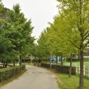 너른공원 이미지