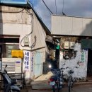 우일연마 이미지