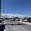 월정포인트 이미지