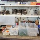 고령염소마을 이미지