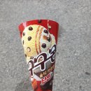 솔티 이미지