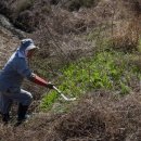 탑곡농장 이미지