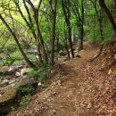 치악산둘레길 2코스 구룡길 이미지