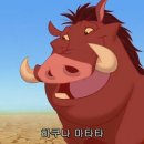 하쿠나 마타타 이미지