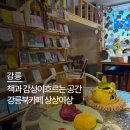 마음나눔북카페작은도서관 | 강릉북카페 추천 ｜ 책과 커피, 감성이 흐르는 공간 상상이상