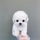 강남-045 이미지