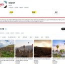 카파도키아 로즈밸리 선셋투어 후기 트래킹 난이도 복장 꿀팁