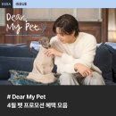 Dear My Pet 이미지