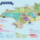 동해 강원타이어 | 동해시 - 무릉별유천지 / 보랏빛 꽃내음 가득한 석회석 채광지