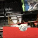 270-5045 | 나이키 블레이저 로우 플랫폼 DA5045 구매 후기