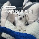 금천24시 K동물의료센터 이미지