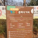 율하광장 반계공원 | 대구 벚꽃 명소 율하 광장, 율하체육공원 벚꽃 개화 상황🌸