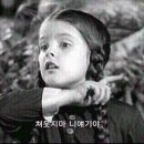 더성인PC 이미지