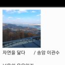 자연을 닮다 이미지