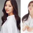 종합란제리 이미지