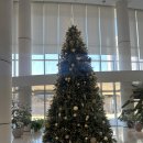 장유중학교 | 김해 장유 맛집 진하이 롯데호탤앤리조트 일요일 점심 가족 모임 장 후기