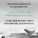 하얀고래 이미지