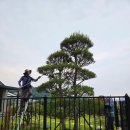 새자리농원 이미지