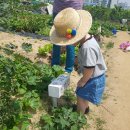 영채농장 이미지