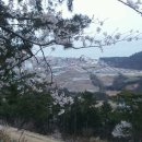4월11일 목요일 남창 화장산및 서생포왜성 벚꽃구경 이미지