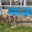 고대미농장 이미지