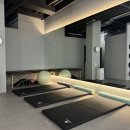 시드니짐 이미지