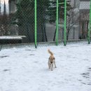 내서운동장 풋살장 이미지