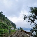 시원해양(주) | 여수 여행 추천 : 바다 가득한 해양레일바이크 (애견동반 / 할인 / 꿀팁)