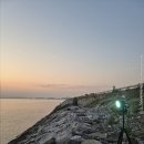 05-A | 서산 A방조제 풀치 졸업식 후기 (25/11/05)