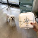 벅구베이크