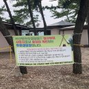 솔섬하우스 | 서산벌천포오토캠핑장 솔섬 복층 반려동물 동반 글램핑 후기