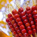 과일사탕탕후루 이미지