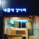 내품에 강아지 이미지