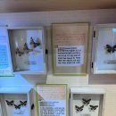 여주곤충박물관 | 🐞 여주 아이랑 가볼만한곳 추천! 여주곤충박물관 체험 후기