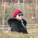 송내공원 이미지