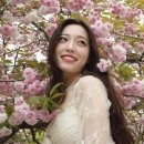 늘푸른전당 이미지