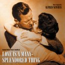 Love is a Many Splendored Thing(모정 OST) / Andy Williams 이미지