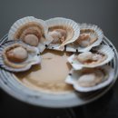 풀빌라 린더버그 이미지