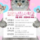 냥집사 이미지
