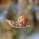 황실의료기,건강식품 | [동대문] 외국인 친구 서울 여행 코스 추천 | 명인 수상 전통 찻집 더쌍화 솔직후기