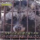 모피나라 - 성남시 분당구 탄천상로151번길 20 | 모피나라
